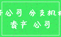 注销分公司 成立子公司的好处