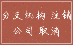 分公司注销后管辖权确定