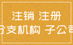 处置子公司与注销子公司一样吗