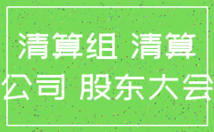 公司注销 股东纠纷 案由