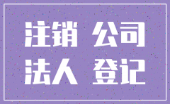 公司注销后法人然后退保如何