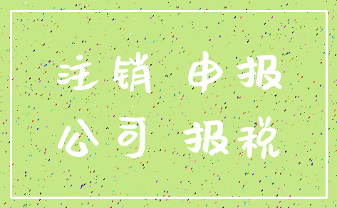 注销 申报_公司 报税