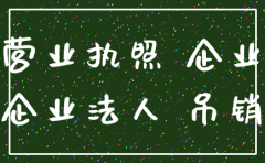 公司不年报 不注销