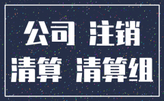 有限公司注销在哪里办注销