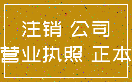 注销 公司_营业执照 正本