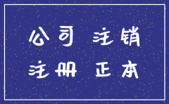 别人用我的名义注册公司怎么注销