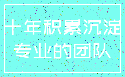 十年积累沉淀_专业的团队