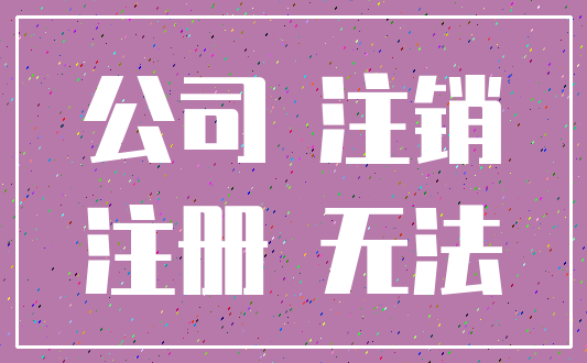 公司 注销_注册 无法