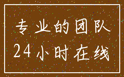 专业的团队_24小时在线