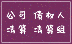 公司注销后代为起诉