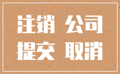 公司一直零申报注销怎么写说明