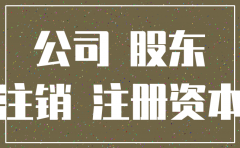 公司注销注册资本归还股东