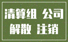 公司注销 清算组可以是法人吗