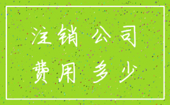延安代理公司注销费用多少