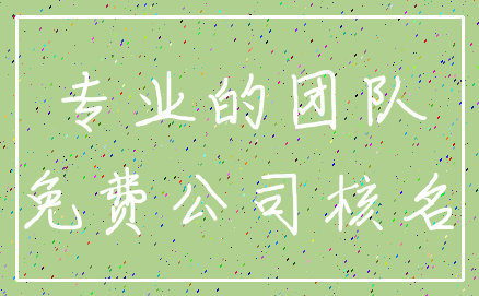 专业的团队_免费公司核名