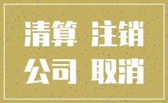 向税务局提供公司注销申请