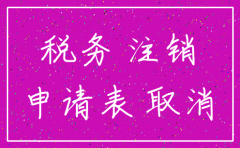 去税务大厅注销公司资料