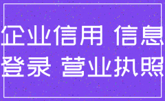 公司注销网上怎么公布信息的