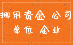 公司注销后高管挪用资金