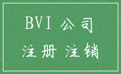 bvi公司清算和注销的区别