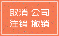 新设立公司不想经营 注销怎么办