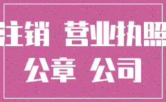 公司资料都丢啦 怎样注销