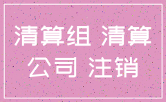 网上注销公司清算组备案在哪里啊