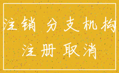 东莞分公司注销流程及资料