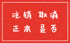 公司注销在什么地方查询