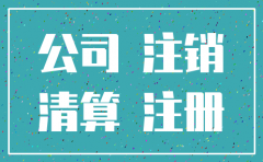 一个人频繁注册注销公司