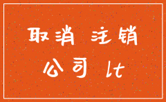 文山公司注销