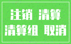 分公司注销 清算工作组