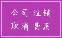 防城港公司注销代办