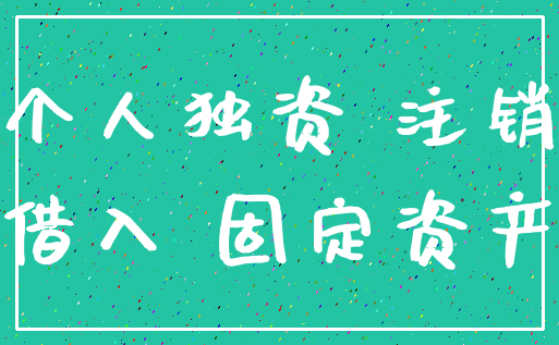个人独资 注销_借入 固定资产