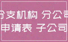 注销分公司改为子公司
