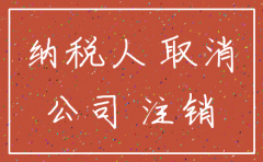 公司向税务局申请注销