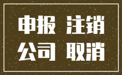 注销公司的年报数字能是0吗