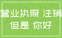 公司办到一半 注销