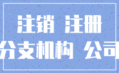 分公司怎么在网上注销