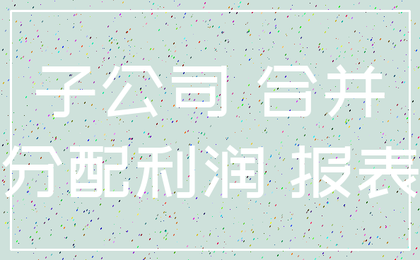 子公司 合并_分配利润 报表