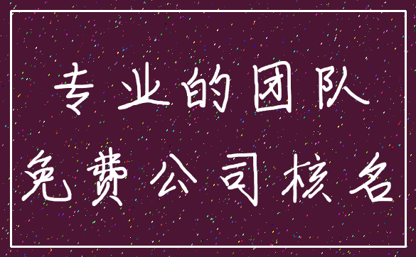 专业的团队_免费公司核名