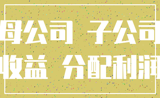 母公司 子公司_收益 分配利润
