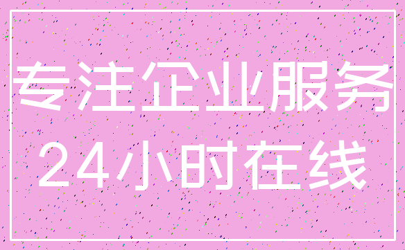 专注企业服务_24小时在线