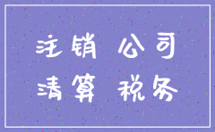 注销公司是去政务大厅吗