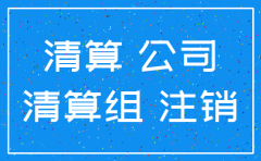 公司注销清算表里清算费咋填合理