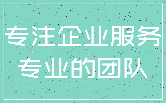 专注企业服务_专业的团队