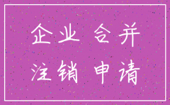 国有有限公司全资子公司如何注销
