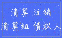 分公司注销的诉讼