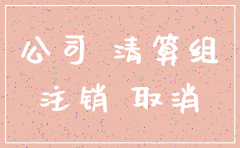 决定注销公司的文件