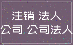 莫名其妙被法人 可以注销公司吗